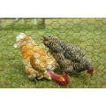 Hexagonal Wire Mesh for Chicken Cage